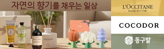 ����Ʈ����